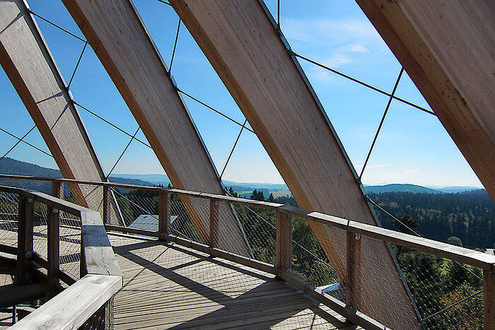 Wandern am Baumei Nationalpark Bayerischer Wald